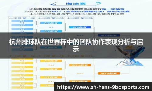 杭州排球队在世界杯中的团队协作表现分析与启示